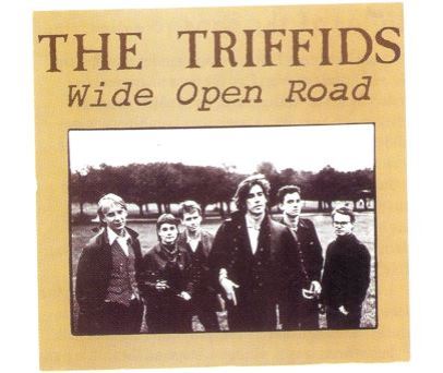 The Triffids - Wide Open Road